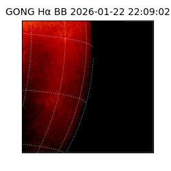 gong - 2026-01-22T22:09:02