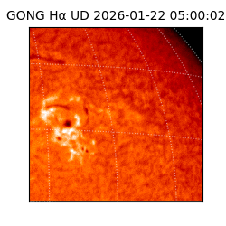 gong - 2026-01-22T05:00:02