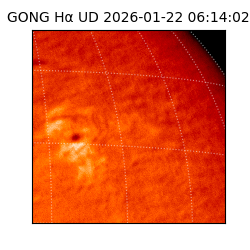 gong - 2026-01-22T06:14:02
