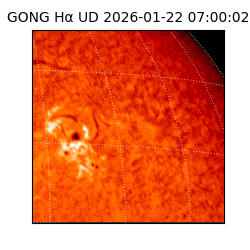 gong - 2026-01-22T07:00:02