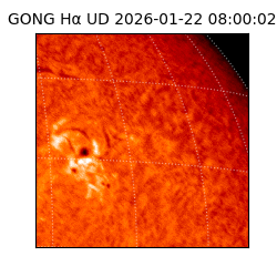 gong - 2026-01-22T08:00:02