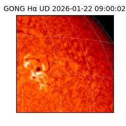gong - 2026-01-22T09:00:02