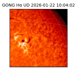 gong - 2026-01-22T10:04:02