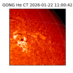 gong - 2026-01-22T11:00:42