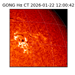 gong - 2026-01-22T12:00:42