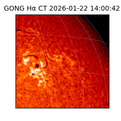 gong - 2026-01-22T14:00:42