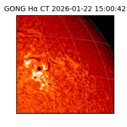 gong - 2026-01-22T15:00:42
