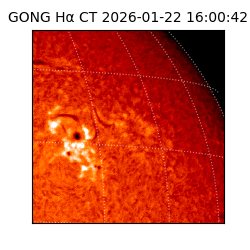 gong - 2026-01-22T16:00:42