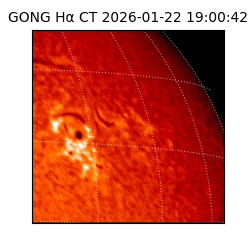 gong - 2026-01-22T19:00:42
