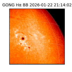gong - 2026-01-22T21:14:02
