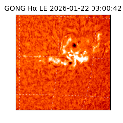 gong - 2026-01-22T03:00:42