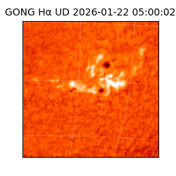 gong - 2026-01-22T05:00:02