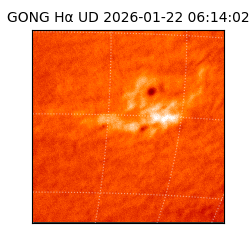gong - 2026-01-22T06:14:02