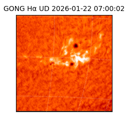 gong - 2026-01-22T07:00:02