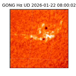 gong - 2026-01-22T08:00:02