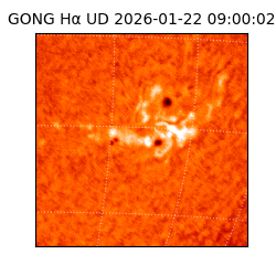 gong - 2026-01-22T09:00:02