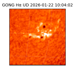 gong - 2026-01-22T10:04:02