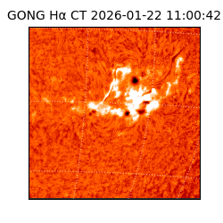 gong - 2026-01-22T11:00:42