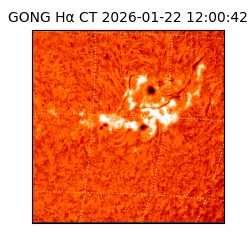 gong - 2026-01-22T12:00:42
