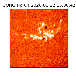 gong - 2026-01-22T15:00:42