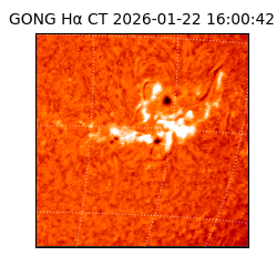 gong - 2026-01-22T16:00:42