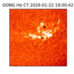 gong - 2026-01-22T18:00:42