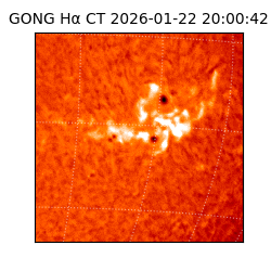 gong - 2026-01-22T20:00:42