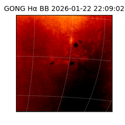 gong - 2026-01-22T22:09:02