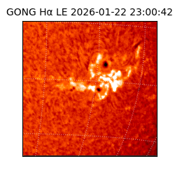 gong - 2026-01-22T23:00:42
