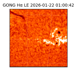 gong - 2026-01-22T01:00:42