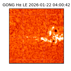 gong - 2026-01-22T04:00:42
