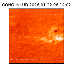 gong - 2026-01-22T06:14:02