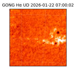 gong - 2026-01-22T07:00:02