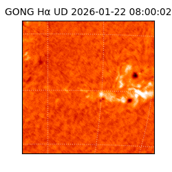 gong - 2026-01-22T08:00:02