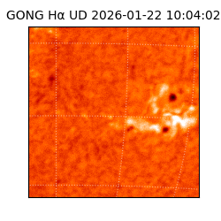 gong - 2026-01-22T10:04:02