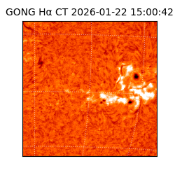 gong - 2026-01-22T15:00:42