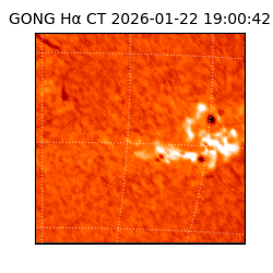 gong - 2026-01-22T19:00:42