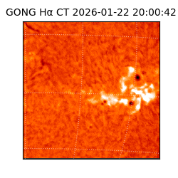 gong - 2026-01-22T20:00:42