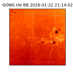 gong - 2026-01-22T21:14:02