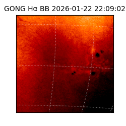 gong - 2026-01-22T22:09:02