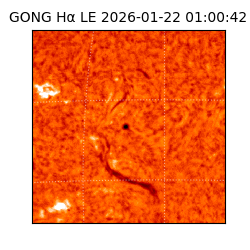 gong - 2026-01-22T01:00:42