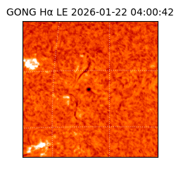gong - 2026-01-22T04:00:42