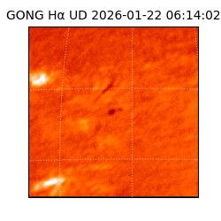 gong - 2026-01-22T06:14:02