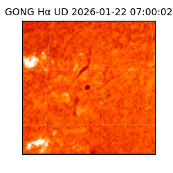gong - 2026-01-22T07:00:02