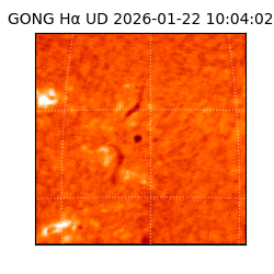 gong - 2026-01-22T10:04:02