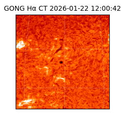 gong - 2026-01-22T12:00:42