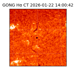 gong - 2026-01-22T14:00:42