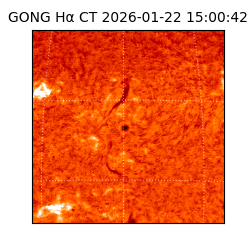 gong - 2026-01-22T15:00:42
