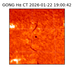 gong - 2026-01-22T19:00:42