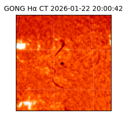 gong - 2026-01-22T20:00:42